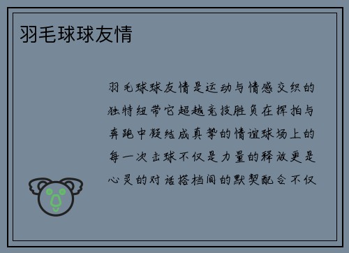 羽毛球球友情